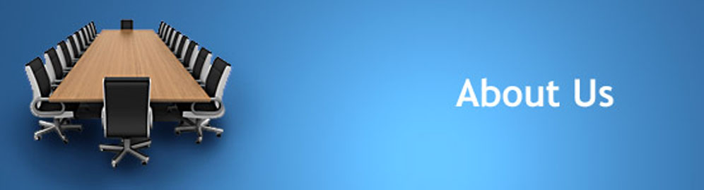 Page Title
